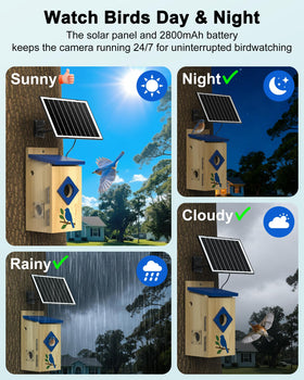 BirdoorKam live viewing with optional storage options for recordings.