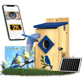 BirdoorKam 2K camera view on smart bird house for backyard birdwatching.