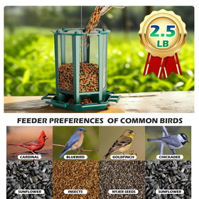 Birdream 2-pack pagoda green bird feeders, top view, charming outdoor decoration