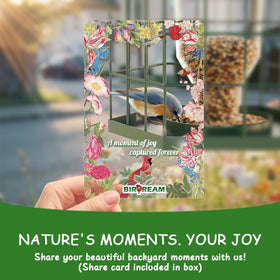 Birdream 360-degree view lets you enjoy every chirp and tiny feathered moment.