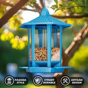 Birdream backyard bird watching setup supports relaxing outdoor wildlife viewing