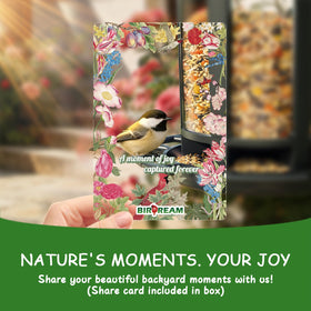 Birdream design appeals to chickadees and other small backyard birds