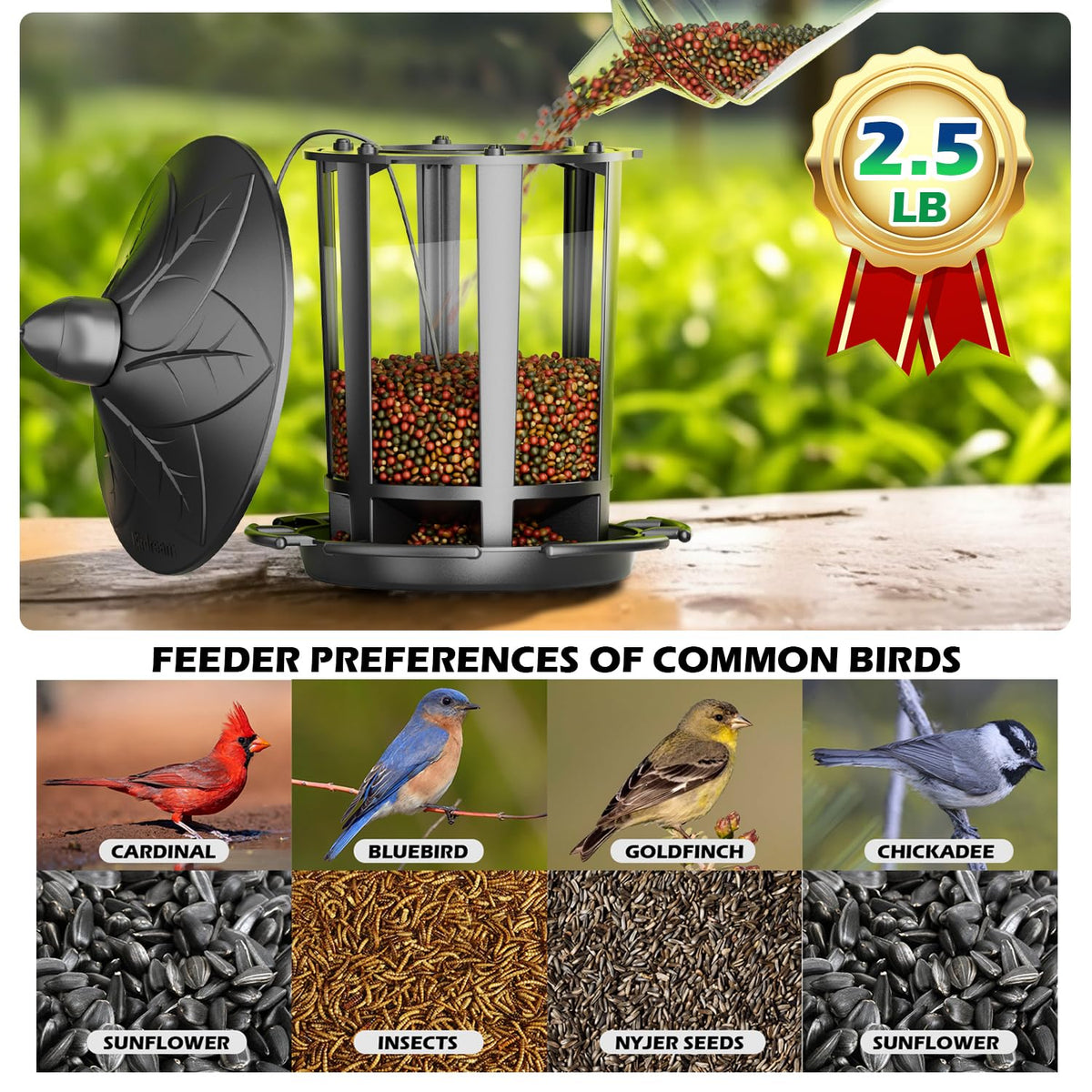 Birdream hanging feeder shown outdoors ready to attract birds
