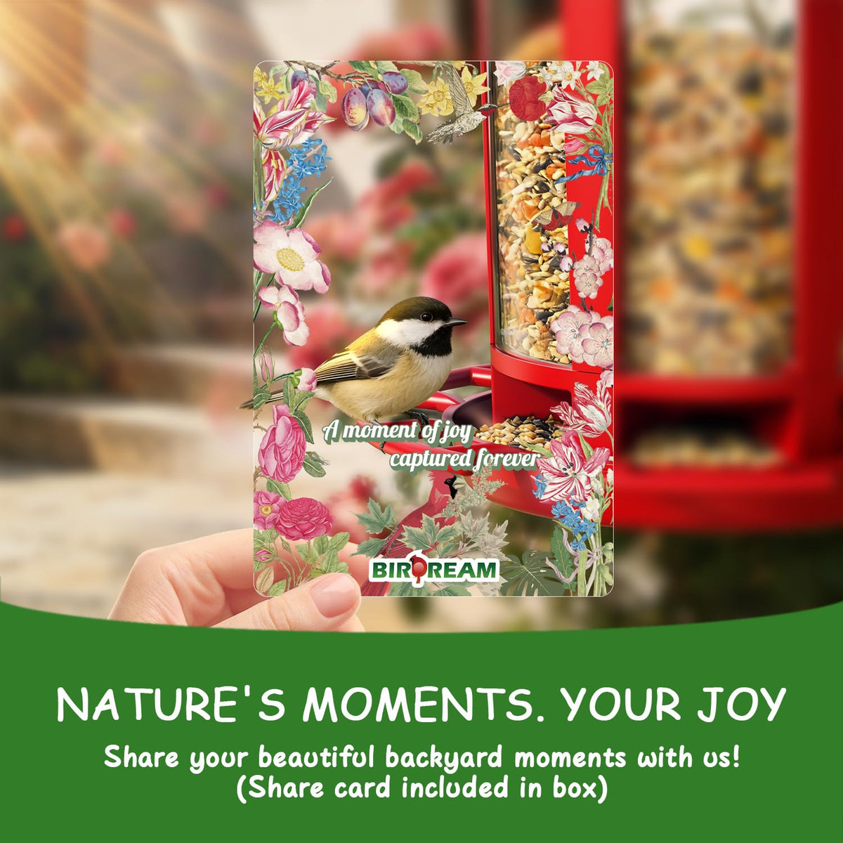 Birdream Castle Feeder attracts cardinals, chickadees, and goldfinches during feeding.