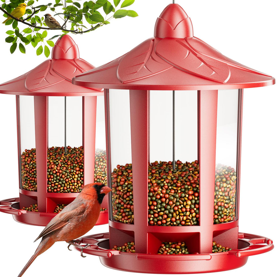Birdream Castle Bird Feeder assembly in minutes for a simple family project.