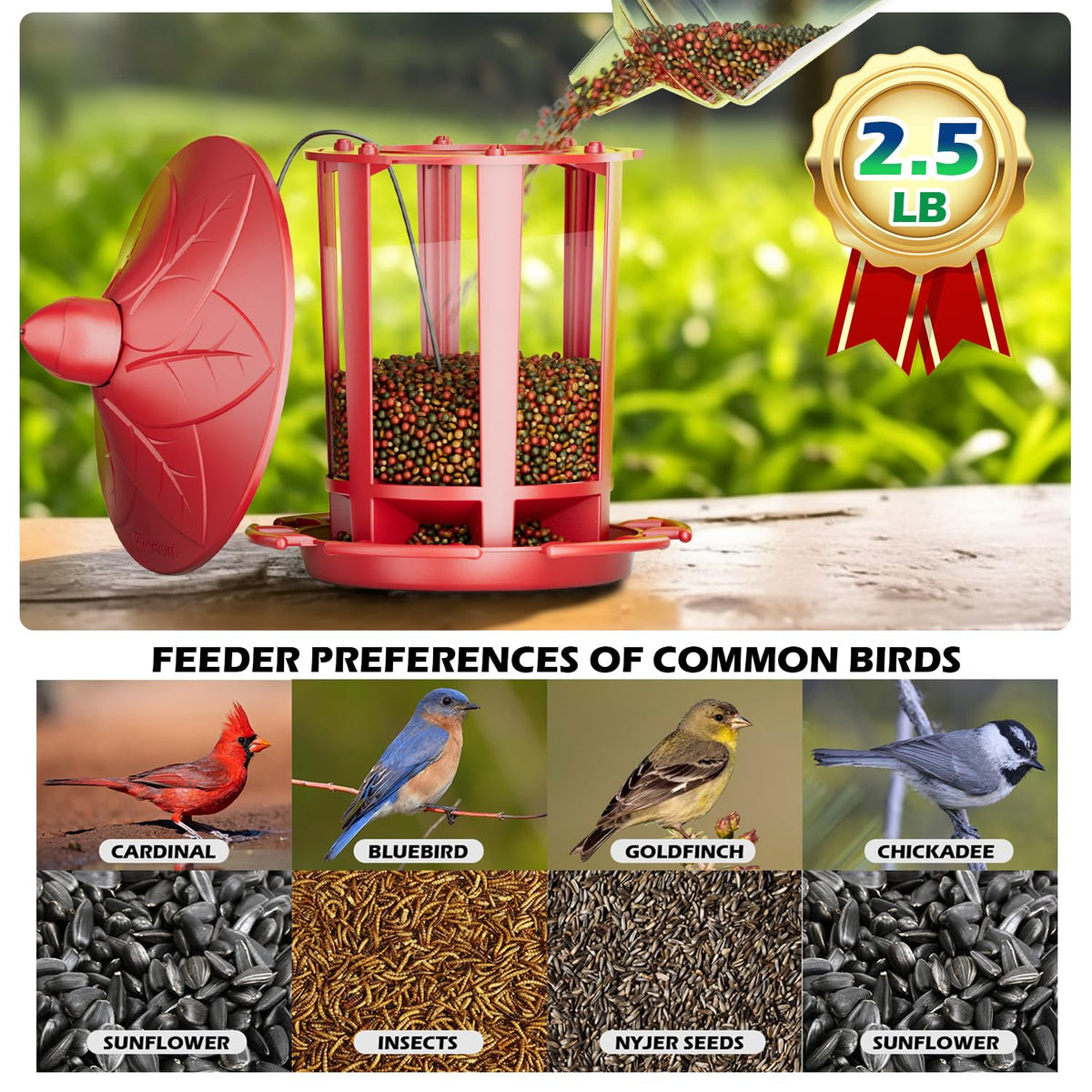 Birdream Castle Bird Feeder setup demonstrates quick hanging and filling.