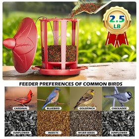 Birdream Castle Bird Feeder setup demonstrates quick hanging and filling.