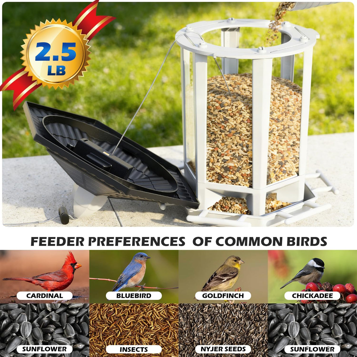 Birdream clear seed level view simplifies refills in a garden nook.