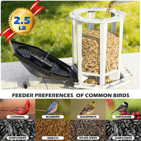 Birdream clear seed level view simplifies refills in a garden nook.