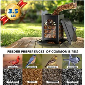 Birdream courtyard design bird feeder adds stylish charm to your backyard.