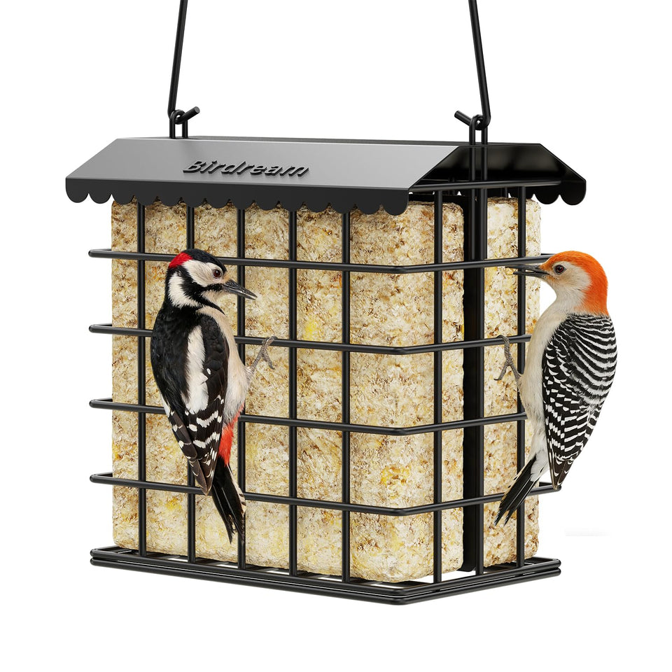 Birdream double suet feeder outdoors with weatherproof roof protecting cakes for year-round feeding.
