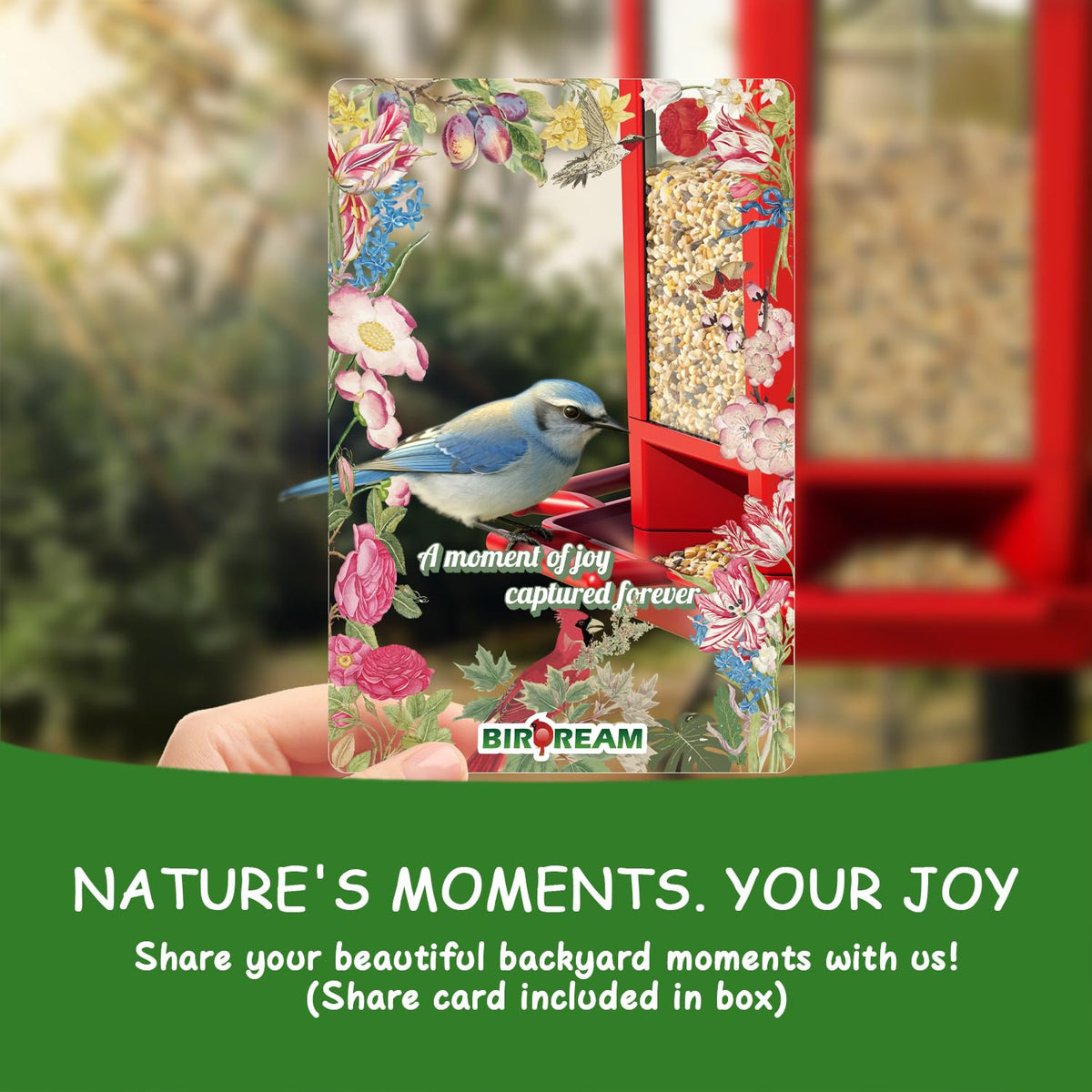 Birdream gift idea display inspiring family-friendly birdwatching moments