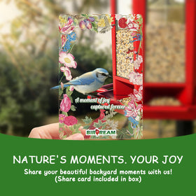 Birdream gift idea display inspiring family-friendly birdwatching moments