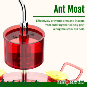 Top ant moat keeps nectar cleaner for outdoor use, Birdream feeder.