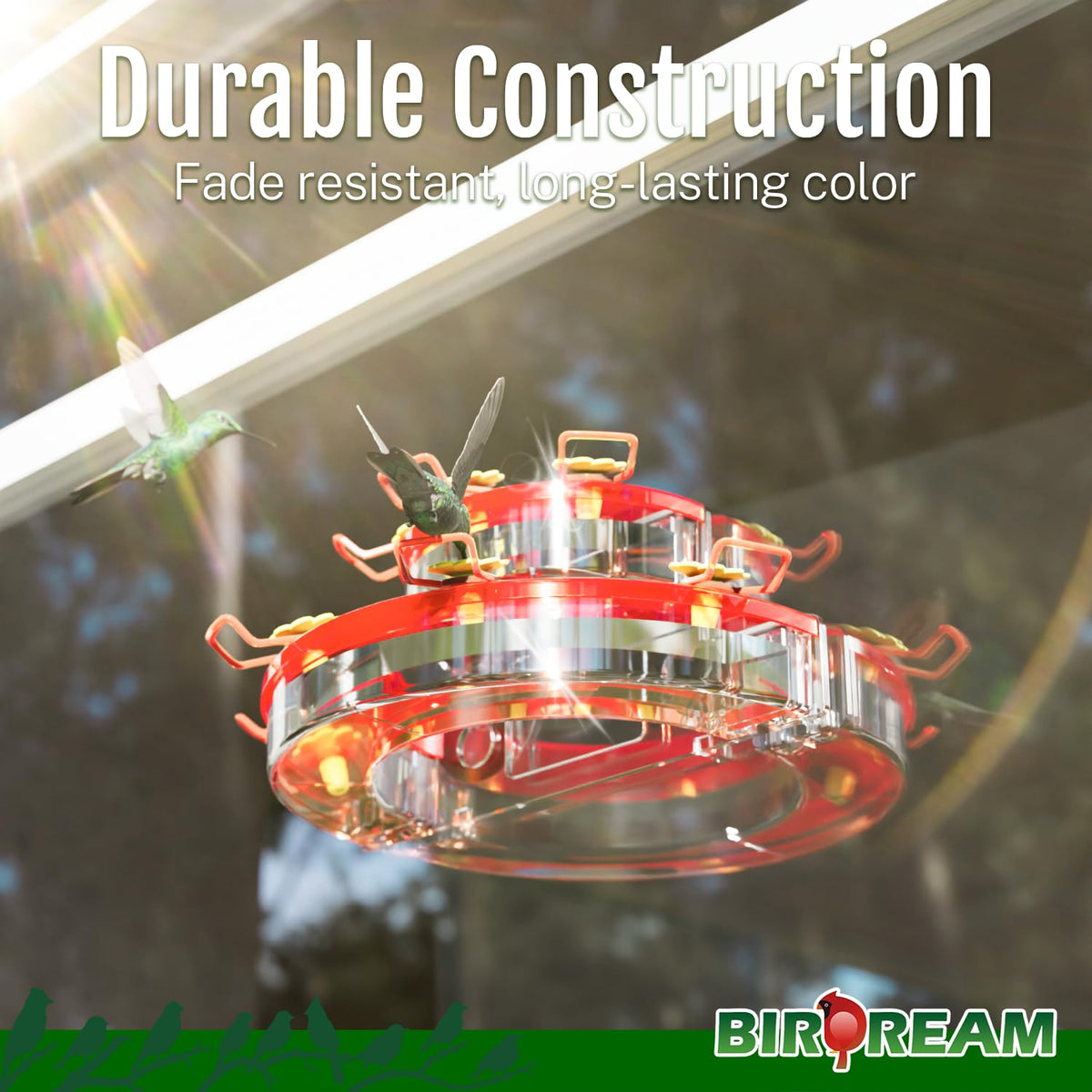 Birdream cleaning brush included for easy maintenance