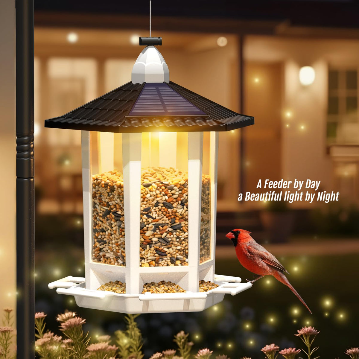 Birdream gift idea for gardeners and bird lovers.