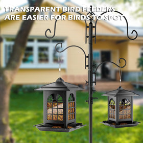 Birdream gift-ready feeder for bird lovers and family moments.