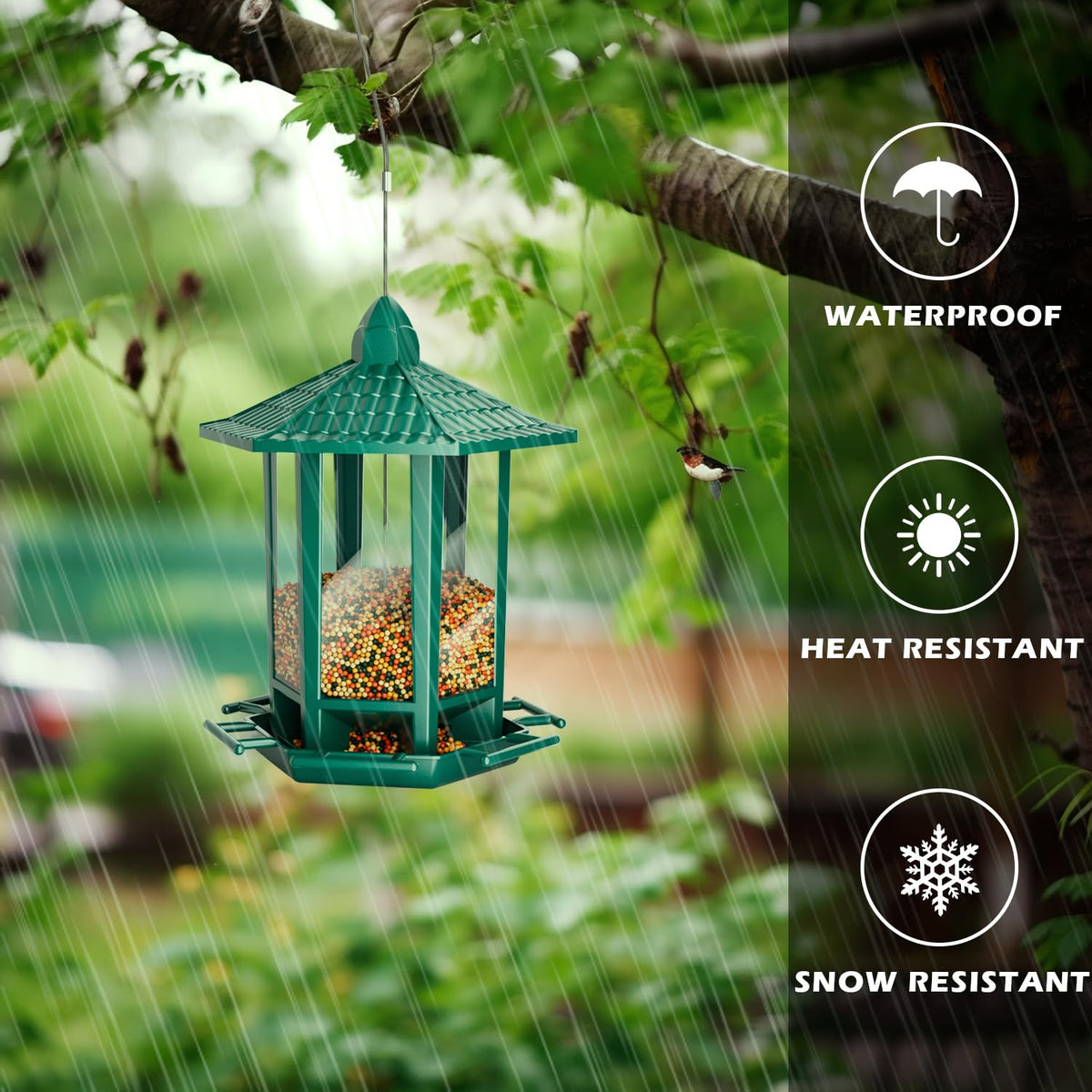 Birdream green feeder, gift-ready packaging for nature lovers