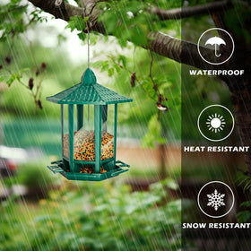 Birdream green feeder, gift-ready packaging for nature lovers
