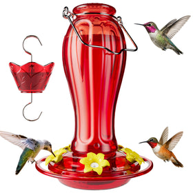 Birdream glass hummingbird feeder 18oz hanging with clear reservoir for easy nectar monitoring