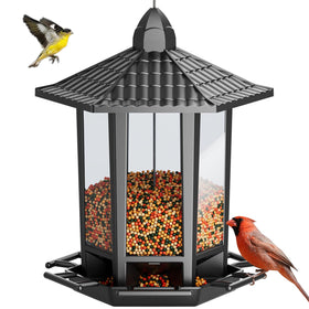 Birdream pagoda-design hanging feeder shown with easy setup and close viewing opportunities.