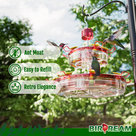 Birdream feeder showing 14 ports to accommodate multiple hummingbirds at once.
