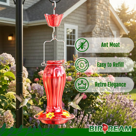 Birdream hummingbird feeder with five flower ports for multiple feeding spots