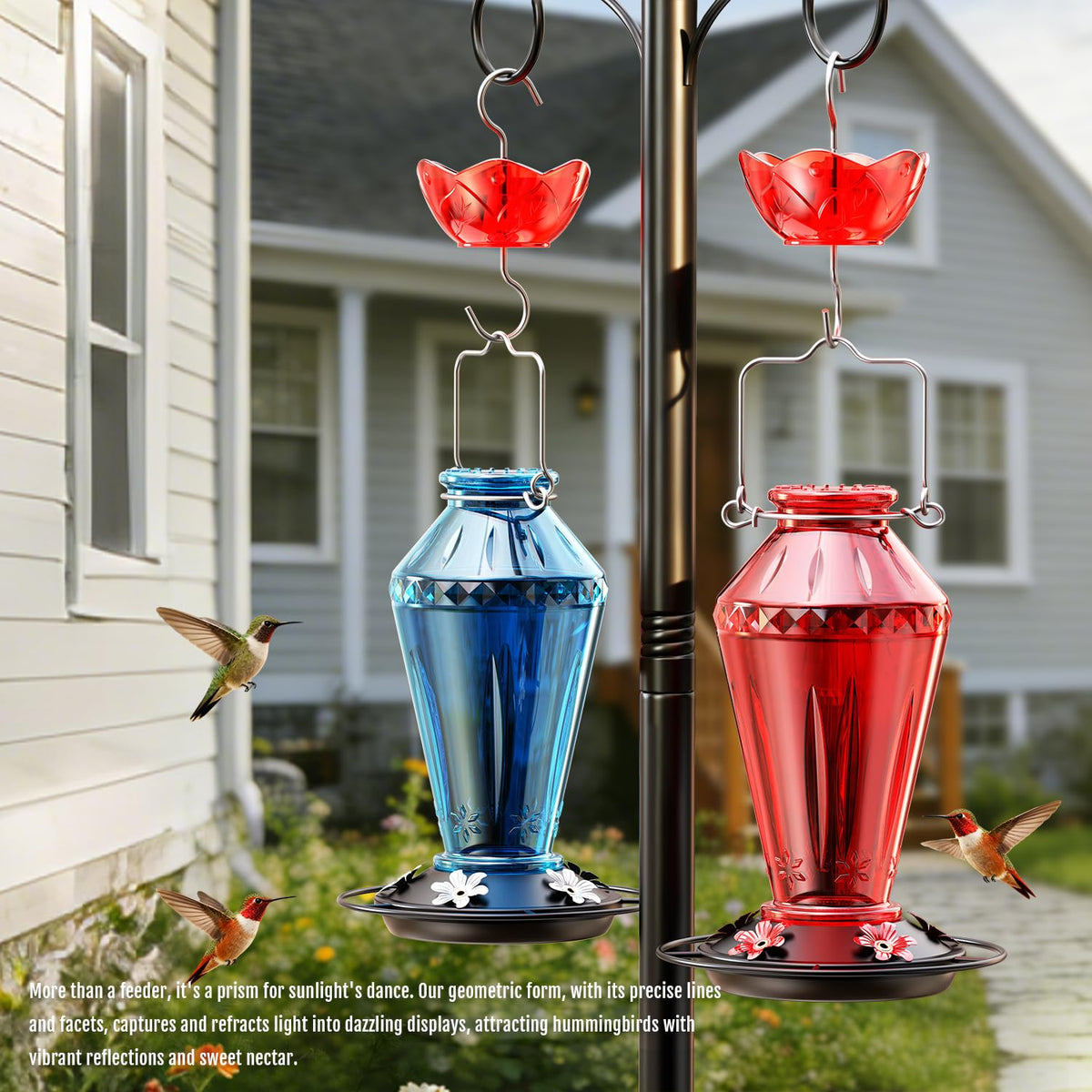 Birdream Feeder enhances backyard moments with hummingbird watching.