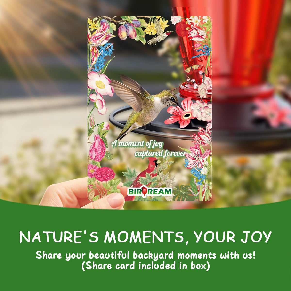 Birdream Hummingbird Feeder geometric glass design catches light attractively.