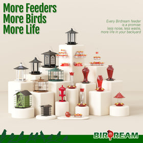 Birdream hummingbird gift idea for nature lovers and bird watchers