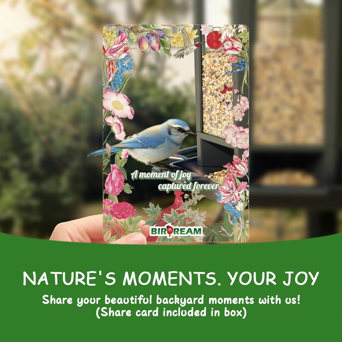Birdream offers lifetime warranty and VIP support.
