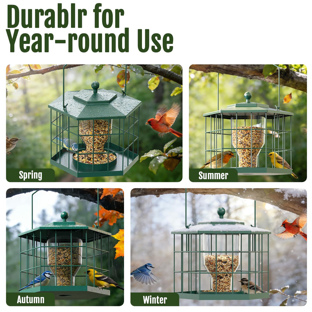 Birdream open cage design offers clear sightlines for relaxed backyard birdwatching.