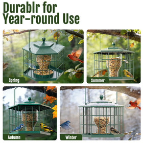 Birdream open cage design offers clear sightlines for relaxed backyard birdwatching.