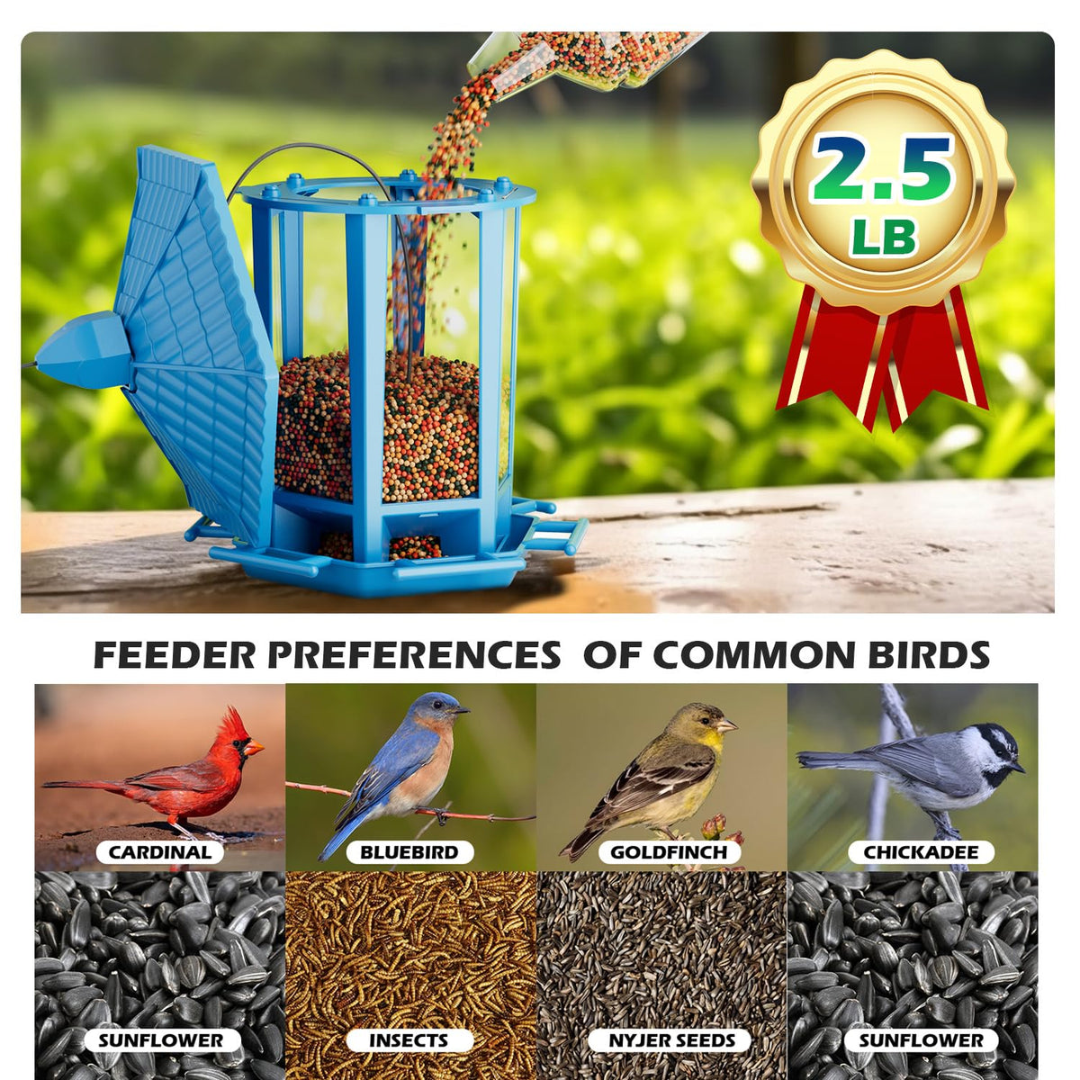Birdream outdoor hanging feeder ready for yard installation and daily bird visits