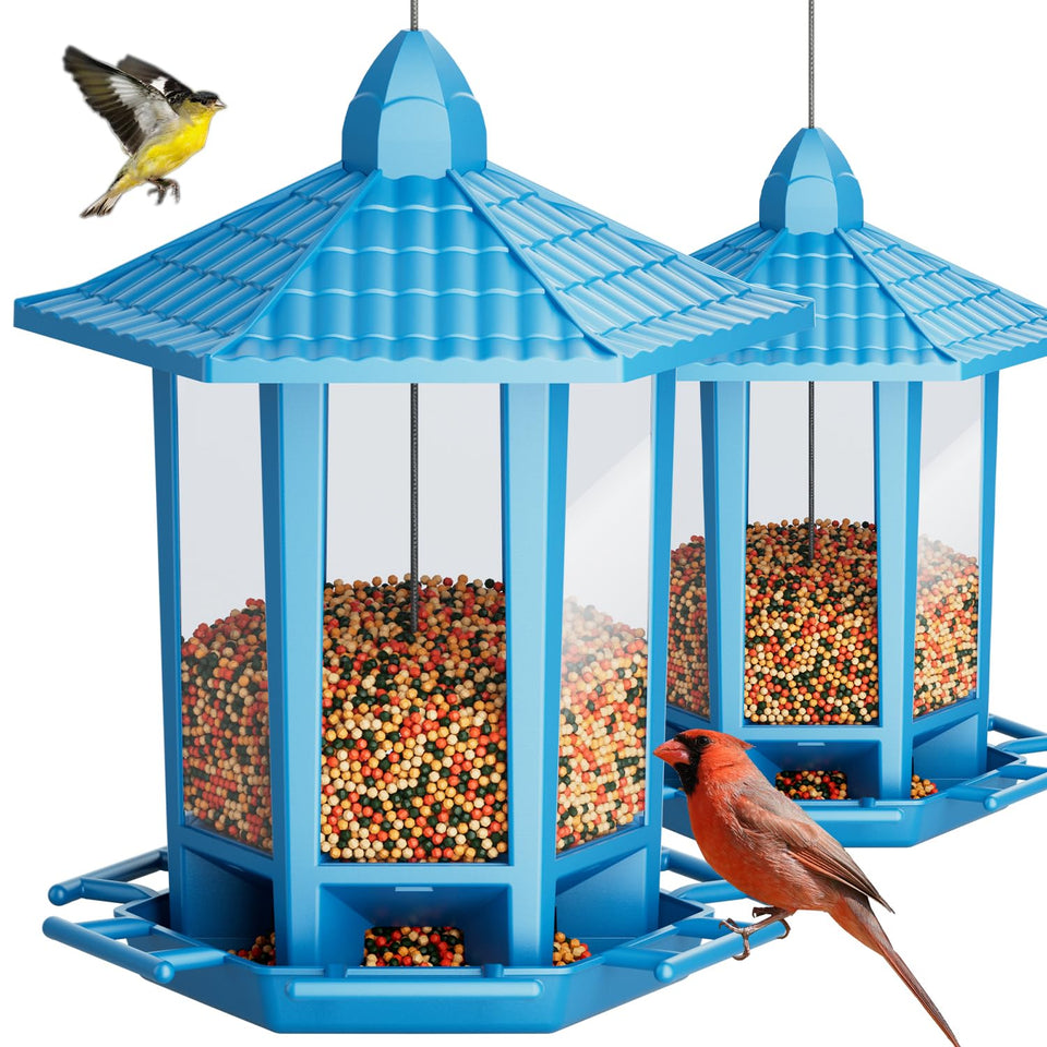Birdream pagoda feeder assembly shows quick setup for family bird watching