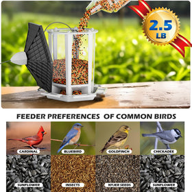 Birdream pagoda feeder side view shows easy refilling.