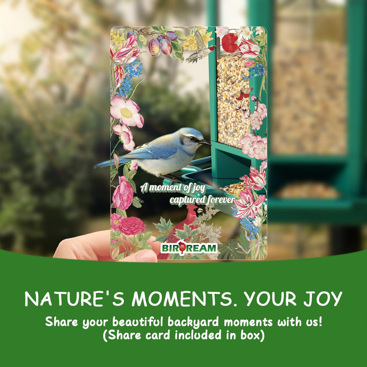 Birdream pagoda green feeder, wide opening, simple refills and clean feeding