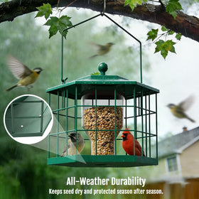 Birdream removable base simplifies cleaning to keep feeding stations hygienic.