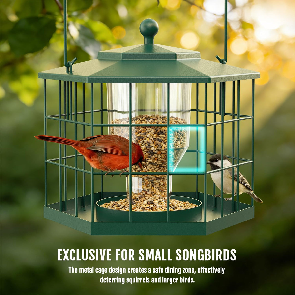 Birdream rust-resistant metal construction withstands sun, rain, and seasons for lasting use.