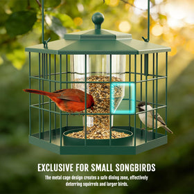 Birdream rust-resistant metal construction withstands sun, rain, and seasons for lasting use.