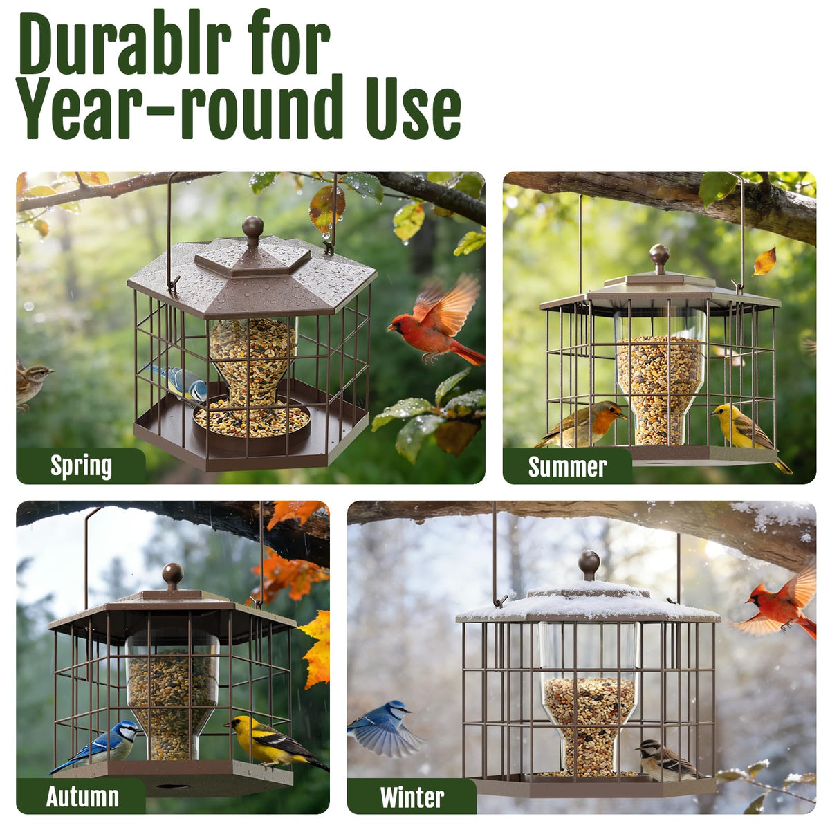 Birdream Squirrel Proof Feeder – finches perched near the open cage for easy viewing.