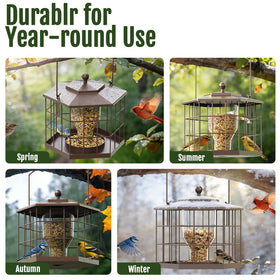 Birdream Squirrel Proof Feeder – finches perched near the open cage for easy viewing.