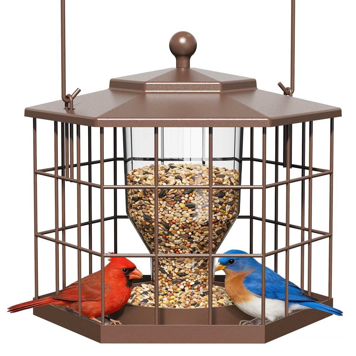 Birdream Squirrel Proof Feeder – front view with protective cage deterring squirrels.