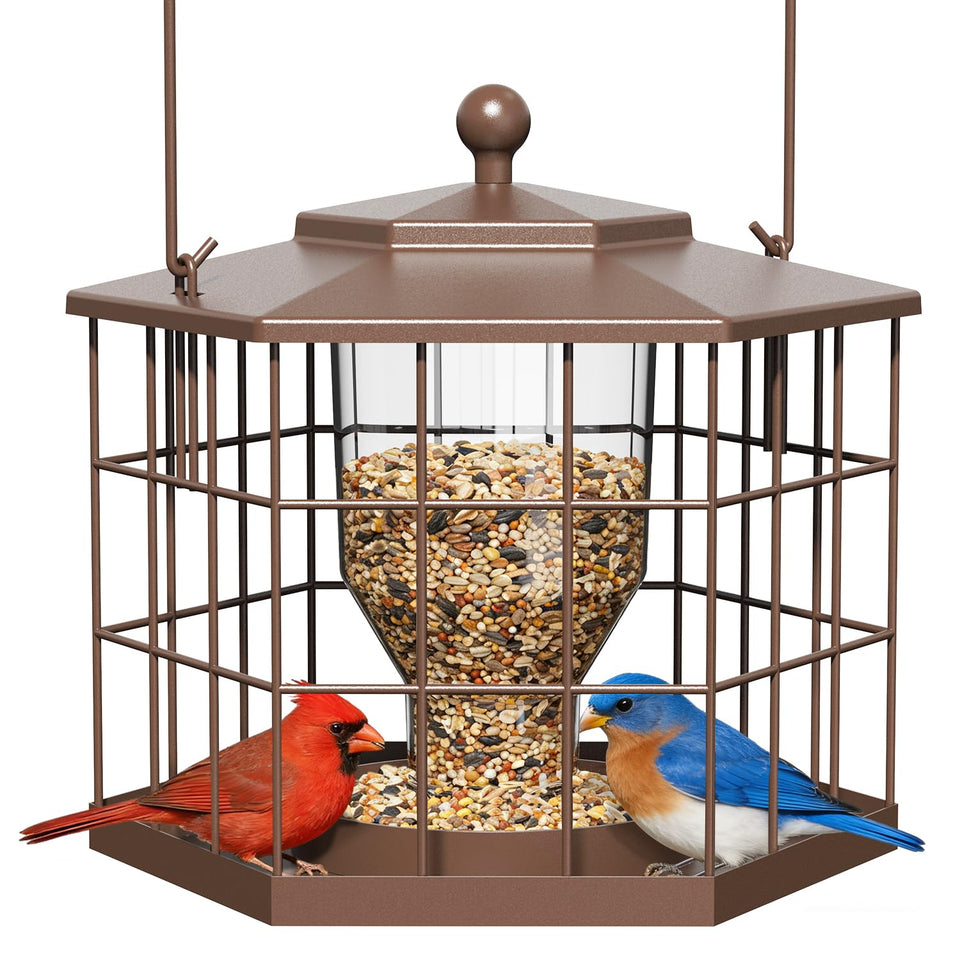 Birdream Squirrel Proof Feeder – front view with protective cage deterring squirrels.