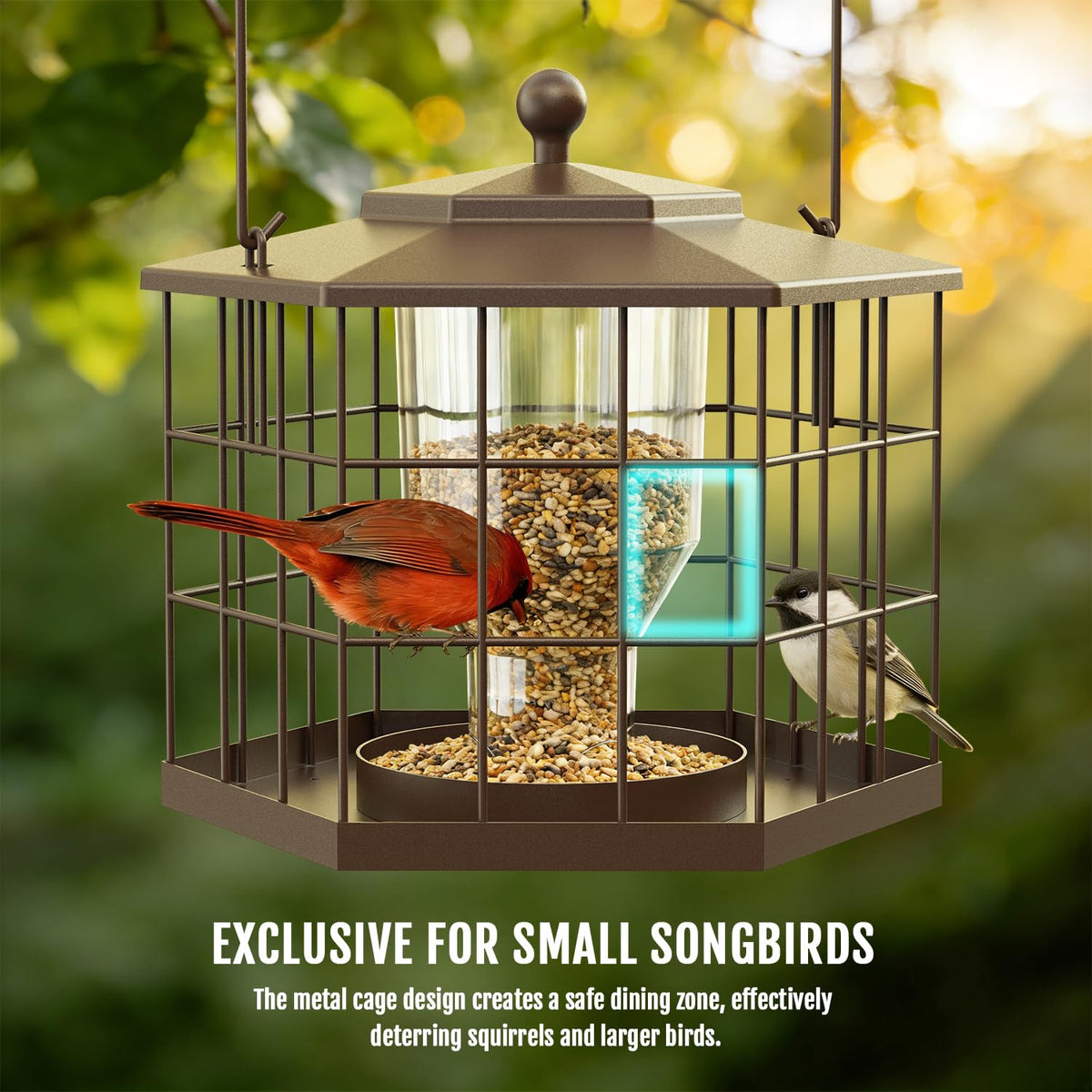 Birdream Squirrel Proof Feeder – rain cover keeps seeds dry and accessible.