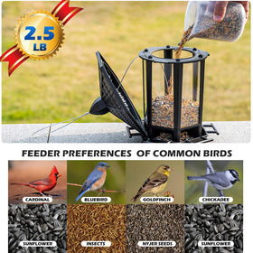 Birdream squirrel-proof feeder ready to deter intruders while birds feed.