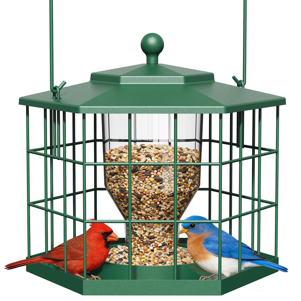 Birdream squirrel-proof zone keeps seeds available for songbirds while deterring bold intruders.