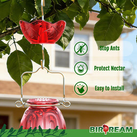 Sturdy stainless steel hooks secure Birdream moat to most feeders.