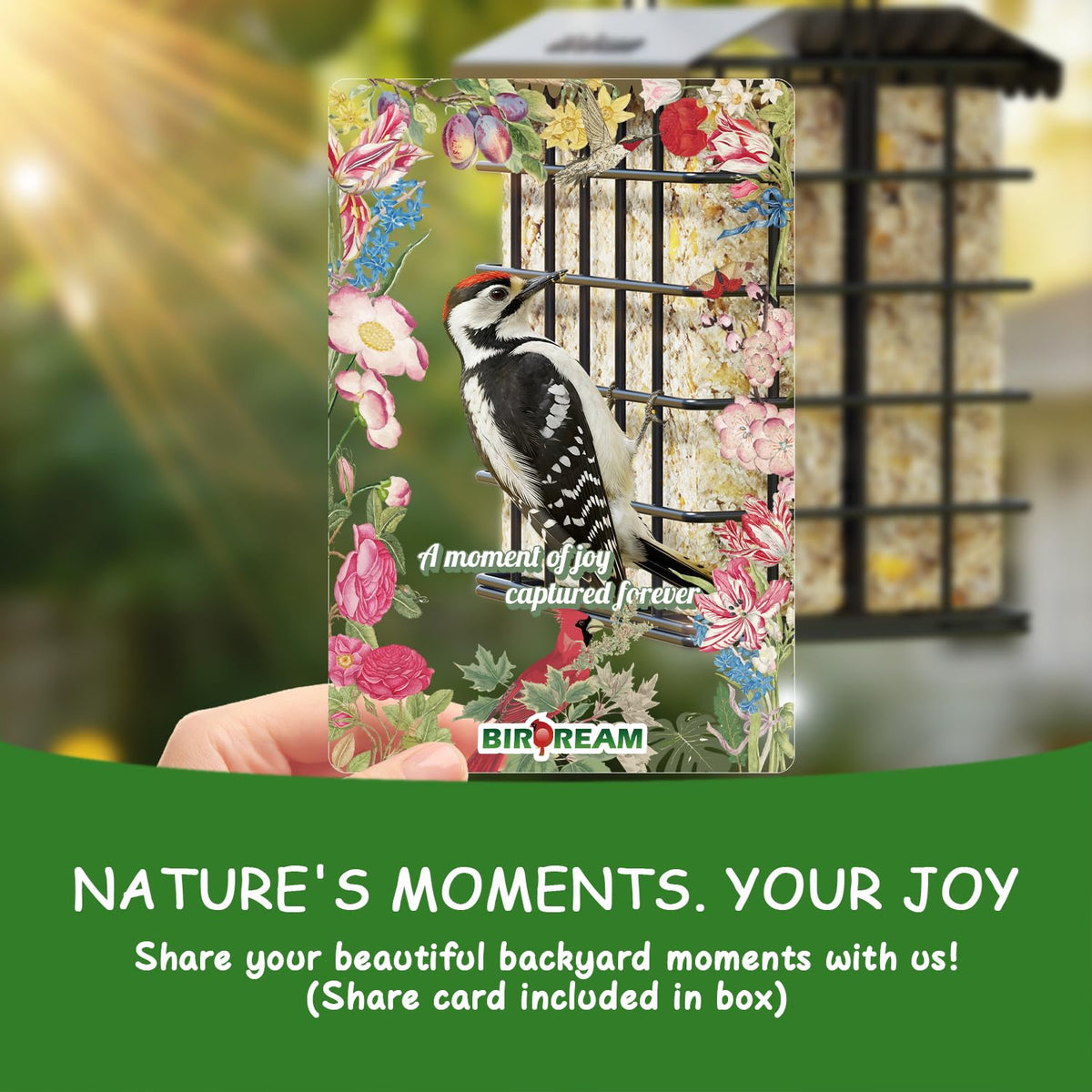 Birdream suet feeder features chickadees and nuthatches visiting.