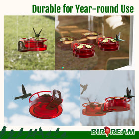 Two-pack Birdream feeders offering value and backup for birdwatching.